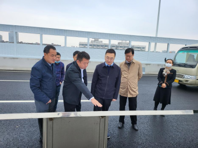 副市长赵捷一行赴资阳洪腾高架工程及洪都高架节点项目视察领导工作